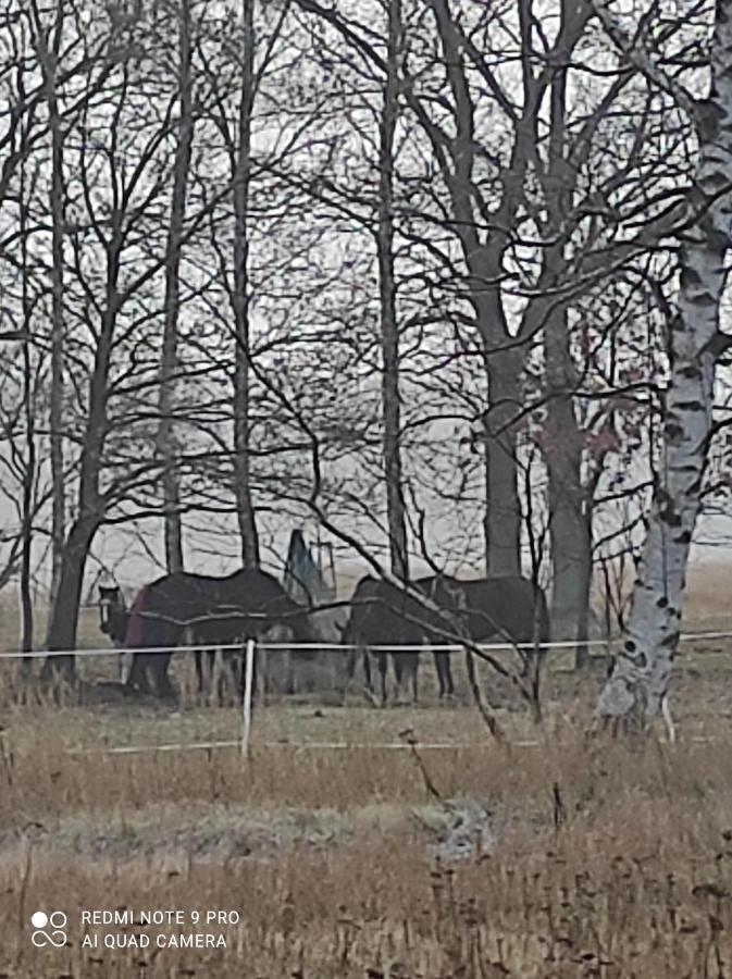 Zakatek Zurawi 2 Villa Swinoujscie Bagian luar foto